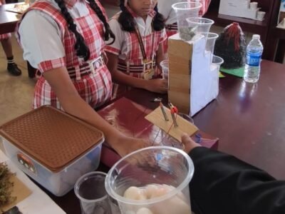 f29d9227-3532-4e9a-bd00-00750b16854e